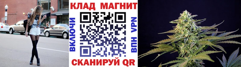 Купить наркотик Перевоз Канабис  Меф мяу мяу  МЕГА ТОР  Гашиш  A PVP 