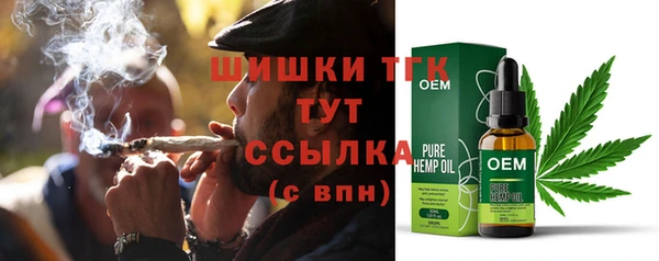 сатива Волоколамск