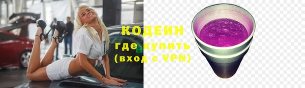 сатива Волоколамск