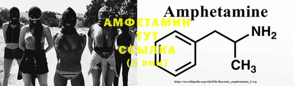 сатива Волоколамск