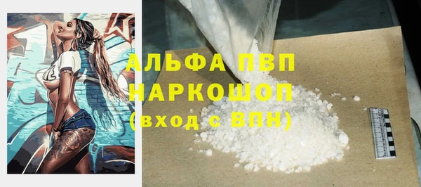 сатива Волоколамск