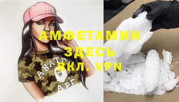 сатива Волоколамск