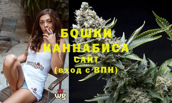 сатива Волоколамск