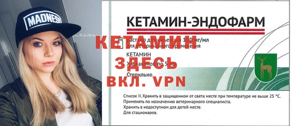 сатива Волоколамск