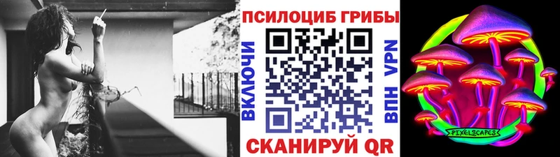 хочу   Перевоз  Псилоцибиновые грибы MAGIC MUSHROOMS 